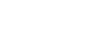 Bp zone free shipping